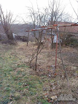image_9