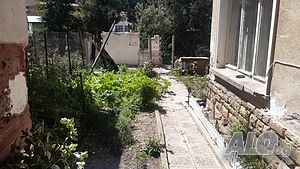 image_10