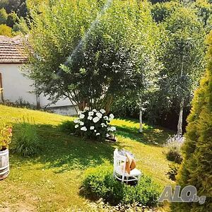 image_14