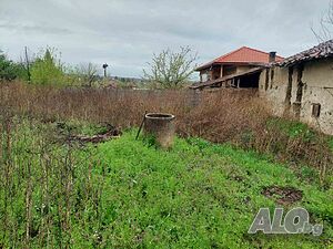 image_6