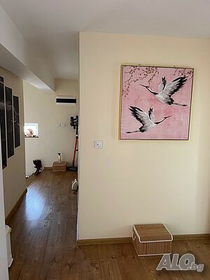 image_14