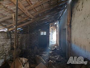 image_8