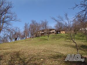 image_6