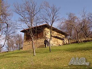 image_10