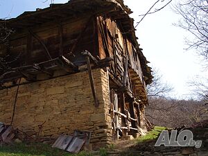 image_11
