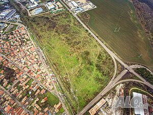 image_9