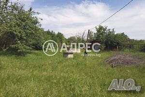 image_5
