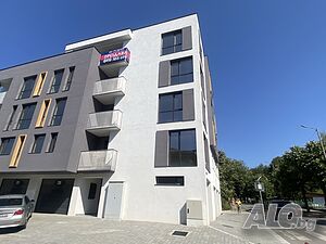 image_6