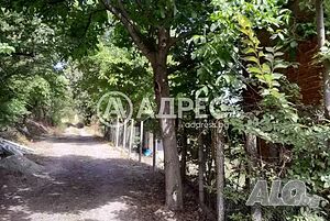 image_8