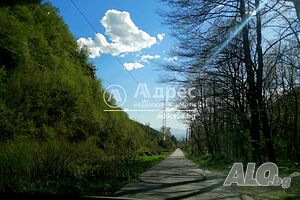image_6