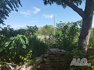image_3