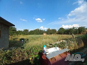 image_11