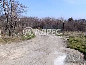 image_6
