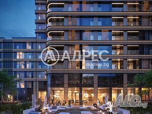 image_6