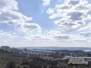 image_11