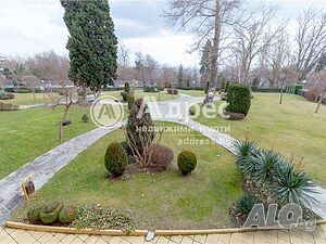 image_7