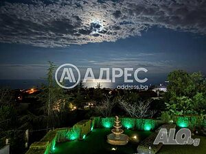 image_5