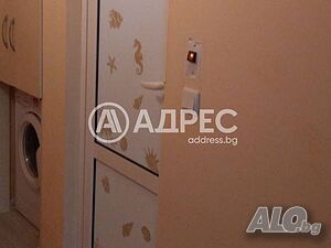 image_6