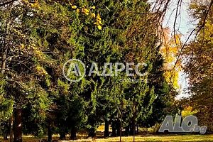 Парцел/Терен, Горни Окол, 10033 кв.м., 399000 €