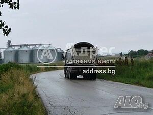 image_3