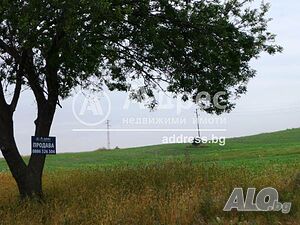 image_9