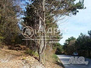 image_10