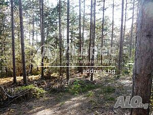 image_11