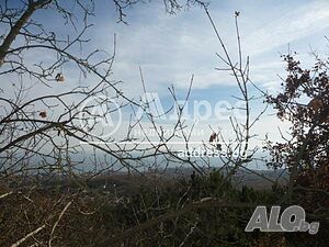 image_13