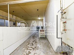 image_11