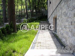image_6