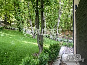 image_7