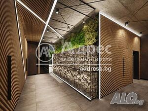 image_6
