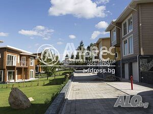 image_11