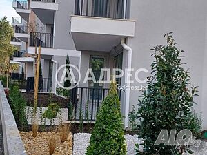 image_8