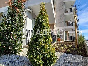 image_10
