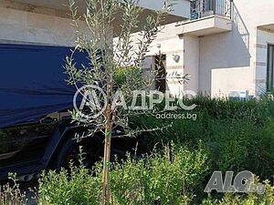 image_9