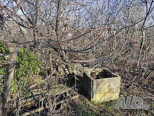 image_2