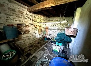 image_11