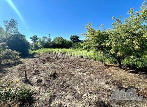 image_14