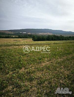 Продава земеделска земя 643664