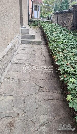 image_5