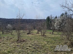 Продава земеделска земя 577246