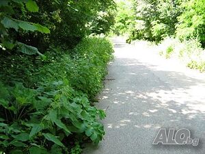 image_3