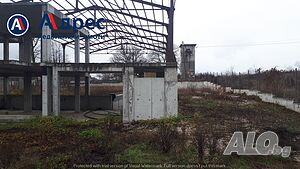 image_6
