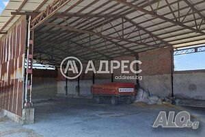 image_4