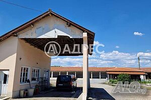 image_9