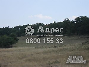 Продажба 4203 кв.м Пред регулация Без ток Без вода