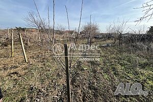 image_12