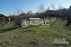 image_7