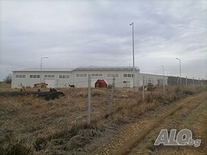 image_7